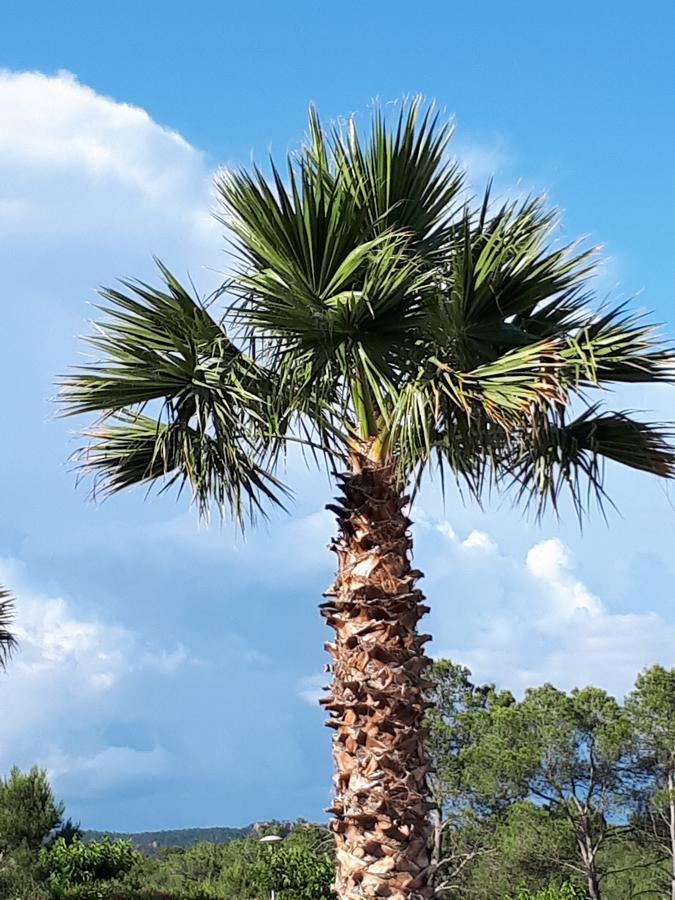 Отель Les Parasols D'Argens Рокбрюн-сюр-Аржан Экстерьер фото